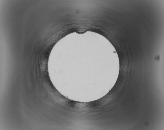 X0000114060139200911161137