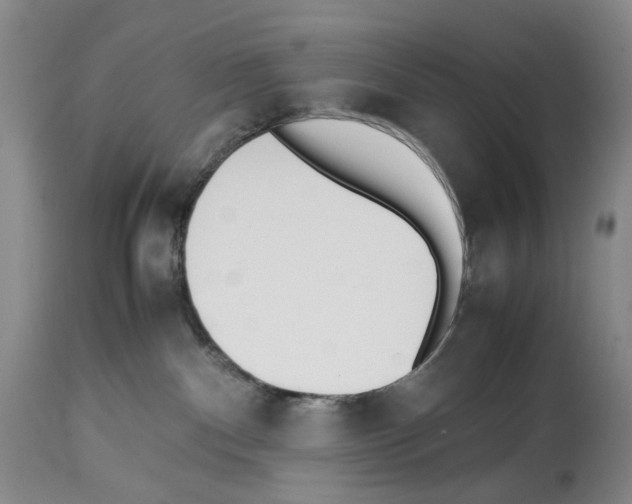 X0000114060140200911161137