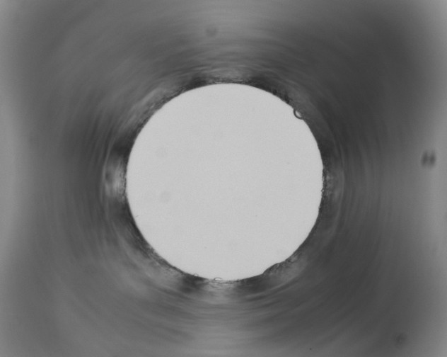 X0000114060143200911161137