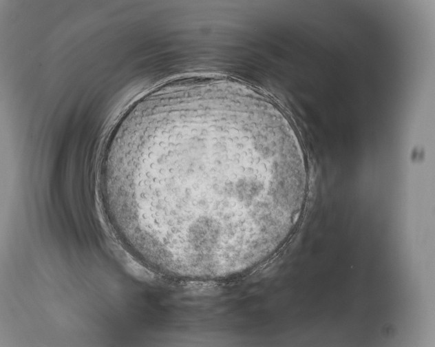 X0000114060145200911161137