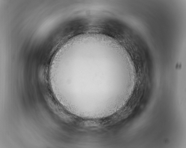 X0000114060146200911161137