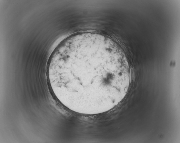 X0000114060147200911161137