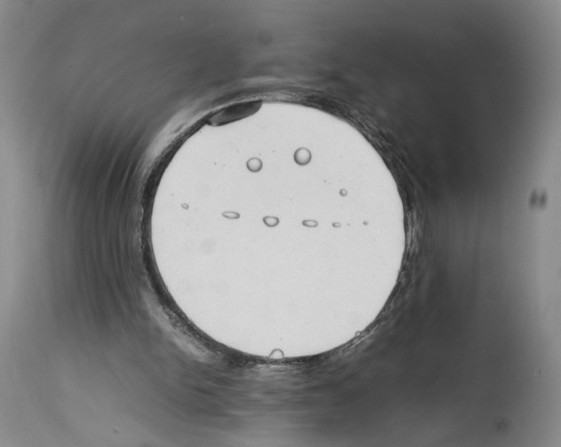 X0000114060150200911161137