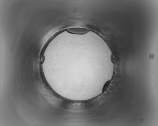 X0000114060152200911161137