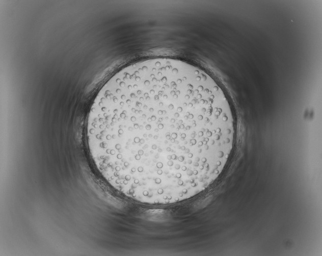 X0000114060153200911161137