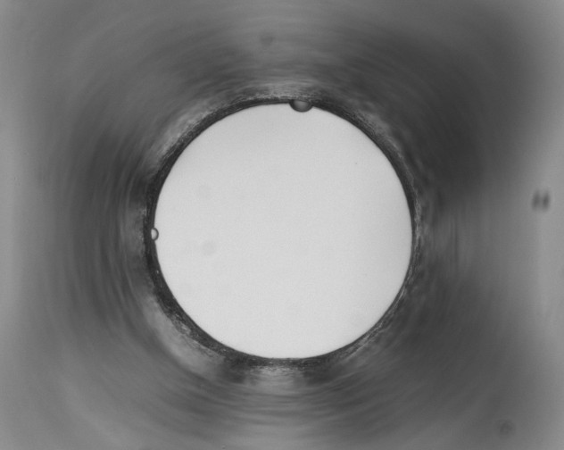 X0000114060154200911161137