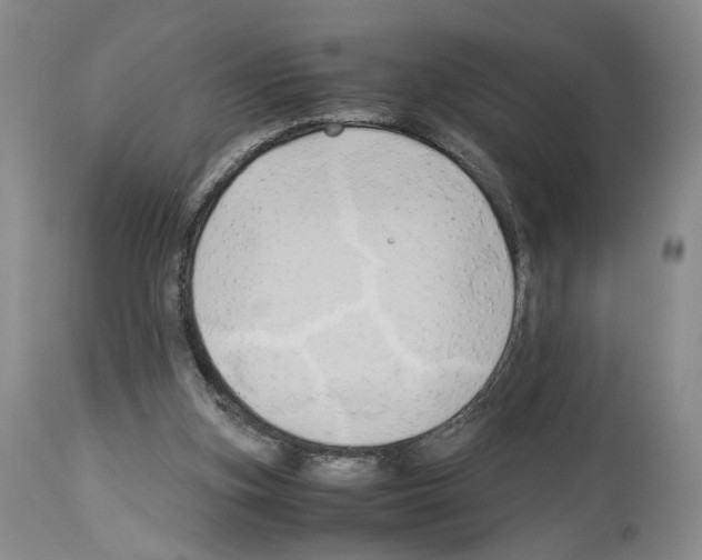 X0000114060155200911161137