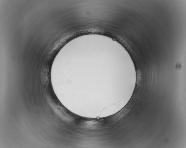 X0000114060158200911161137