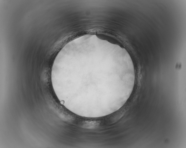 X0000114060161200911161137