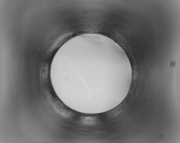 X0000114060163200911161137