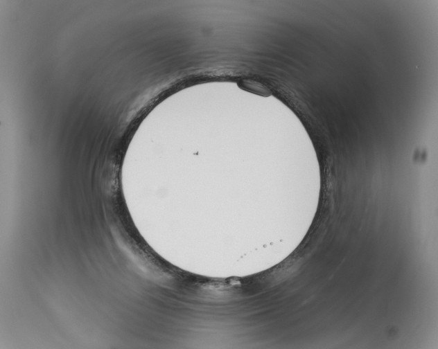 X0000114060164200911161137