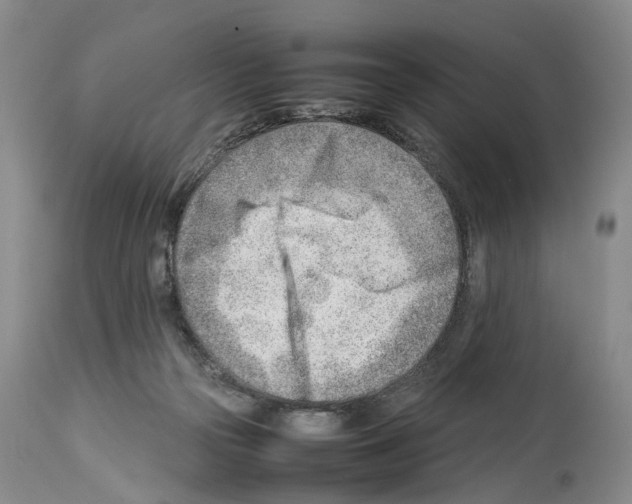 X0000114060169200911161137