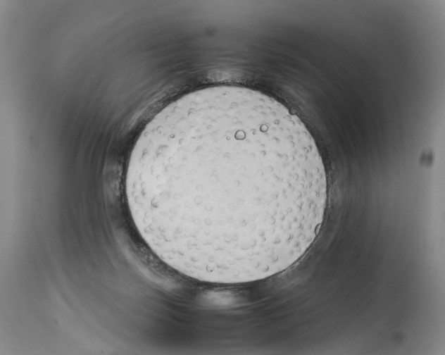 X0000114060171200911161137