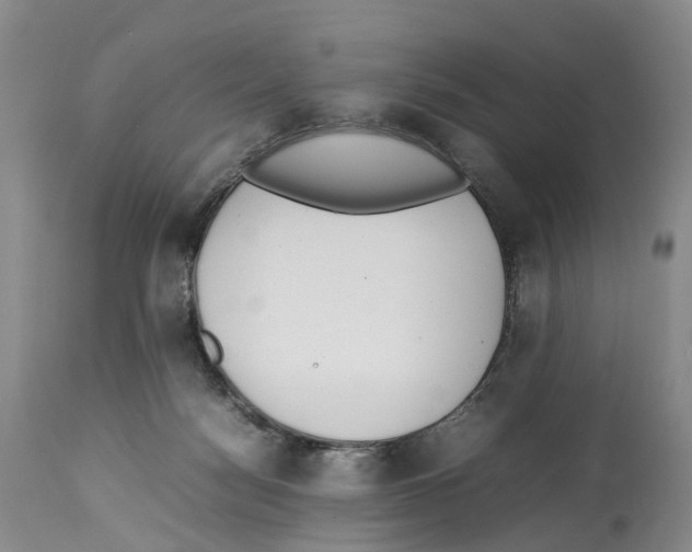 X0000114060172200911161137