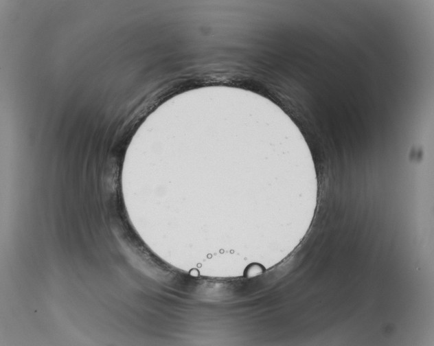 X0000114060174200911161137