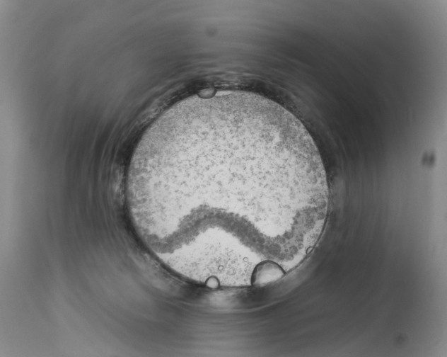 X0000114060178200911161137