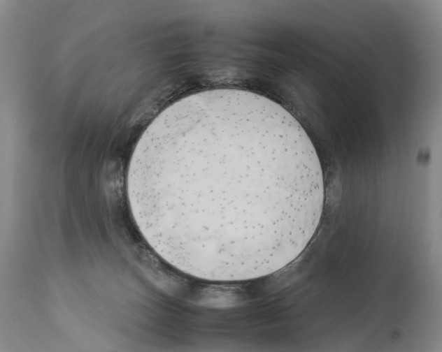 X0000114060179200911161137