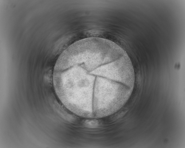 X0000114060181200911161137