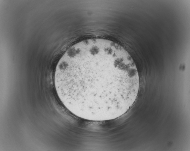 X0000114060182200911161137