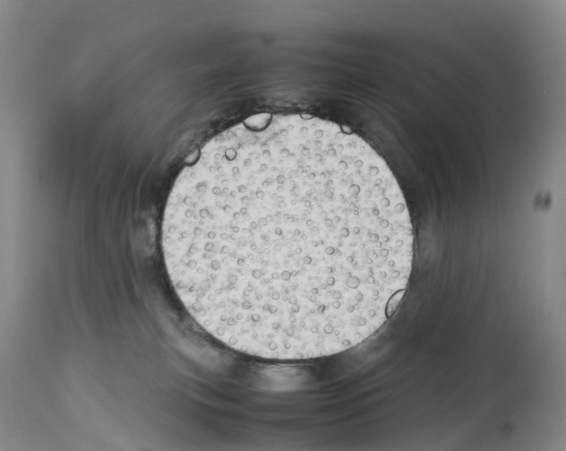 X0000114060183200911161137