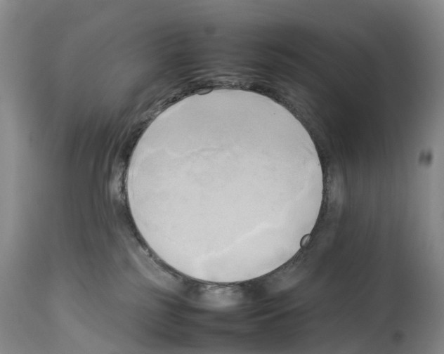 X0000114060185200911161137