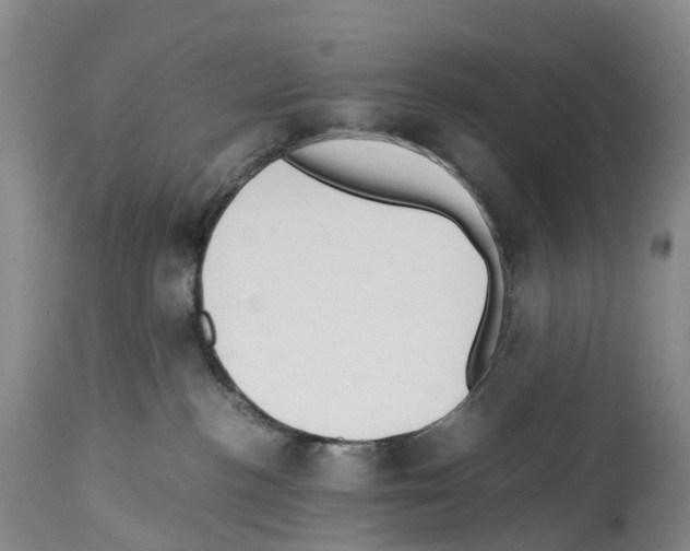 X0000114060188200911161137