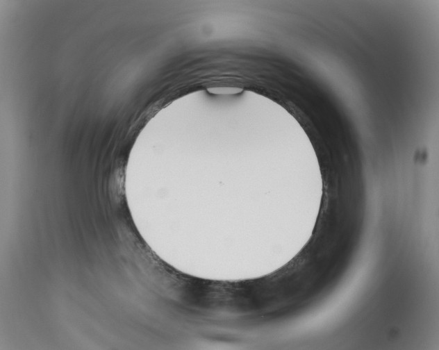 X0000114060190200911161137