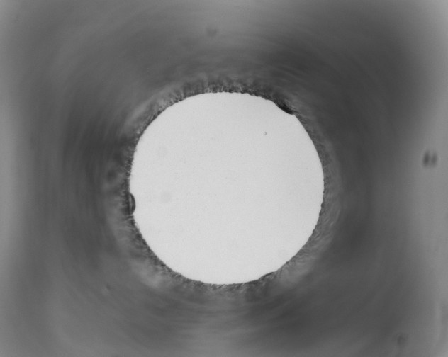 X0000114060192200911161137