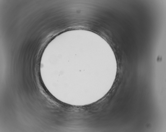 X0000114060193200911161137