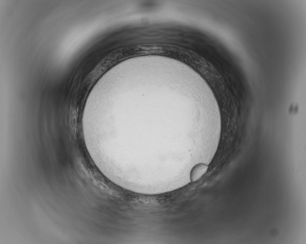 X0000114060194200911161137