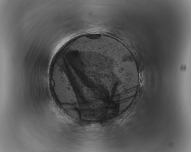 X0000114060196200911161136