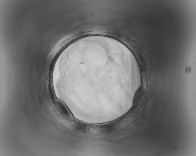 X0000114060199200911161136