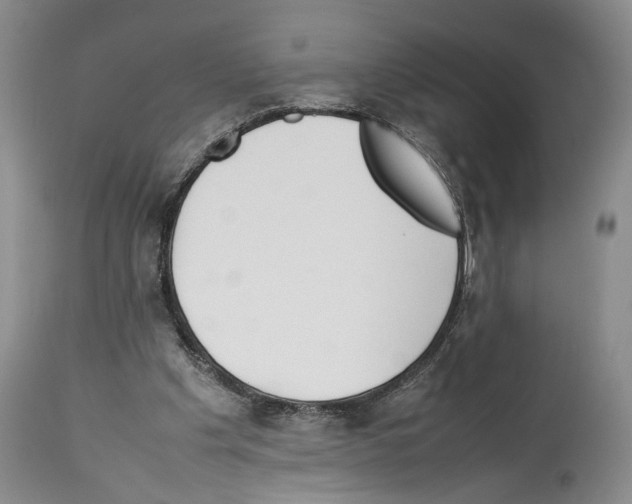 X0000114060201200911161136