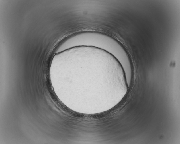 X0000114060203200911161136