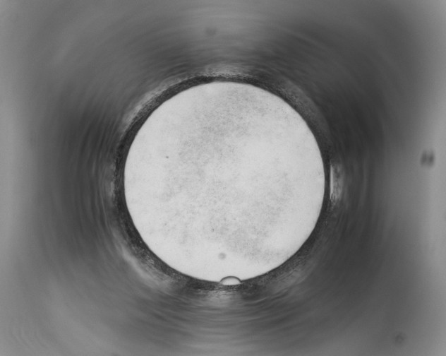 X0000114060204200911161136