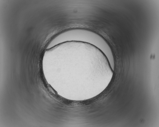 X0000114060207200911161136