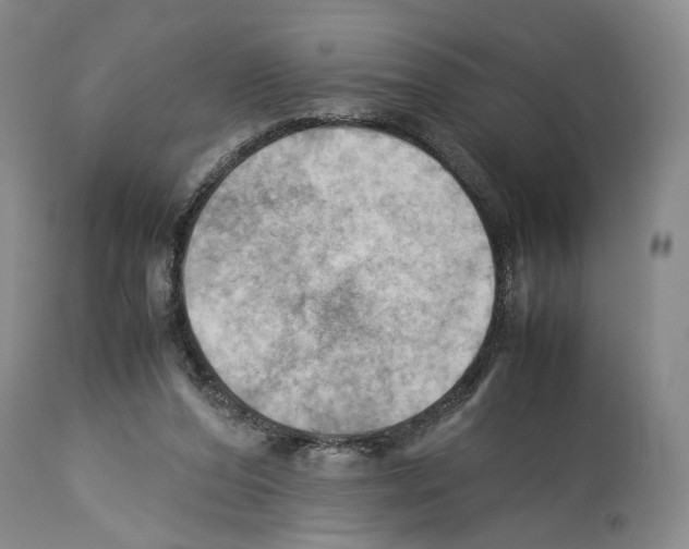 X0000114060208200911161136