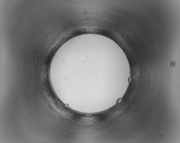 X0000114060213200911161136