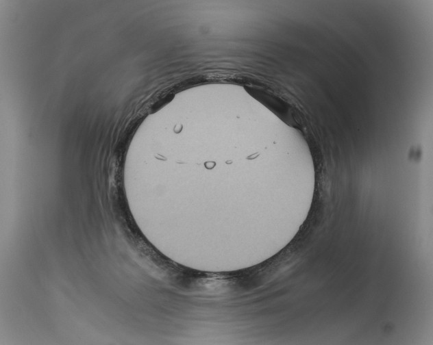 X0000114060219200911161136