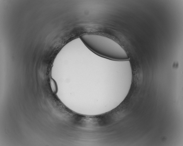 X0000114060221200911161136