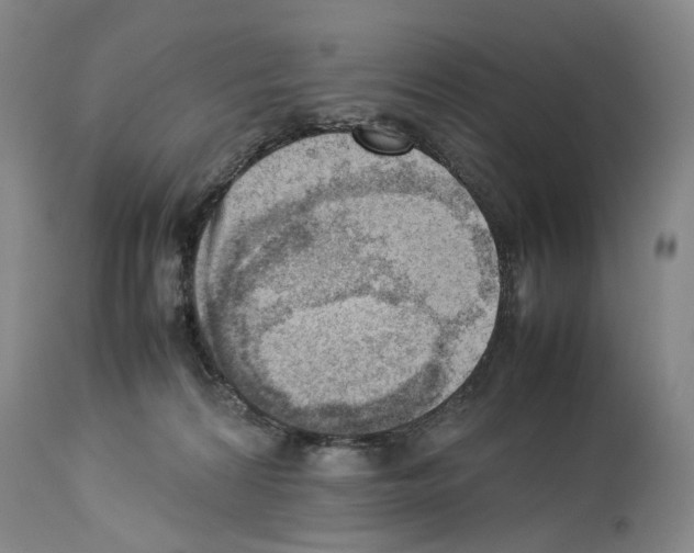 X0000114060224200911161136