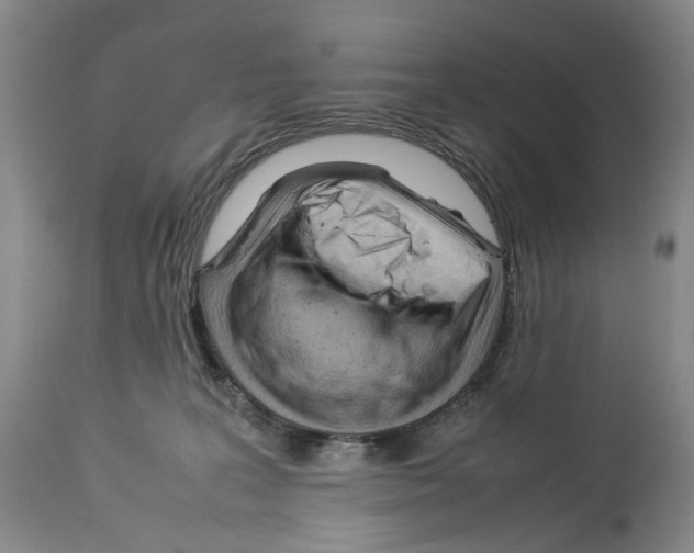 X0000114060227200911161136