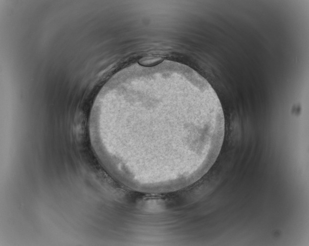 X0000114060228200911161136