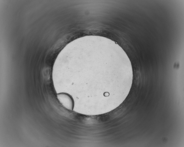 X0000114060232200911161136