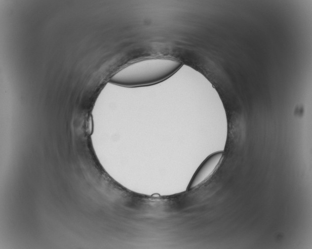 X0000114060233200911161136