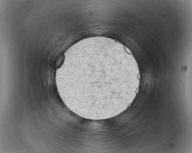 X0000114060236200911161136