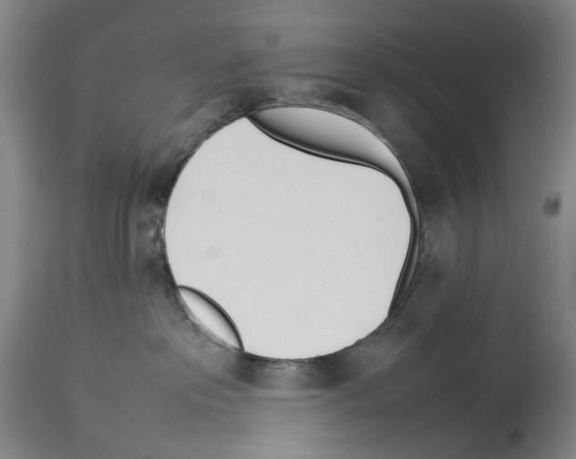 X0000114060237200911161136