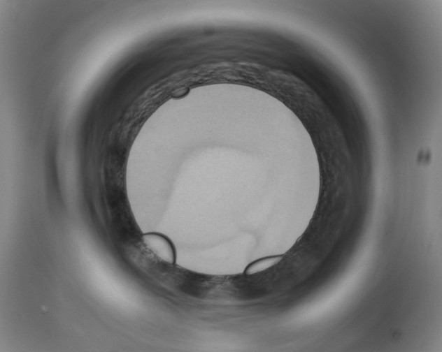 X0000114060239200911161136