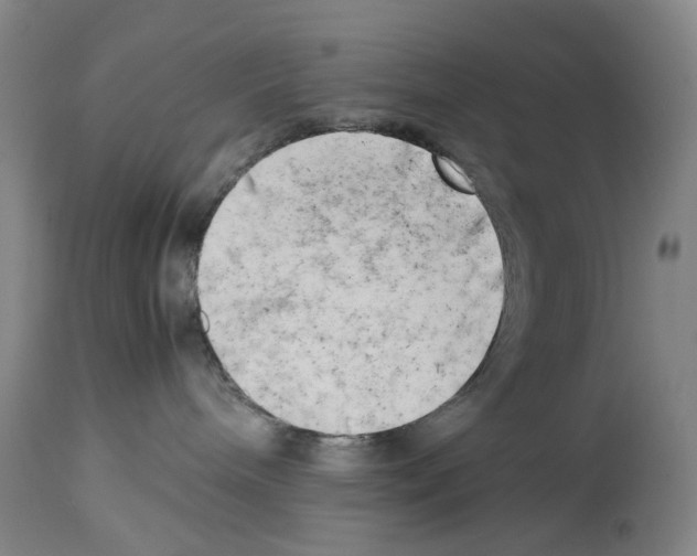 X0000114060240200911161136