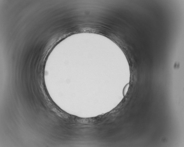 X0000114060241200911161135